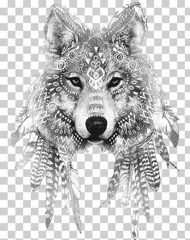 Busto De Lobo Gris Con Estampado Floral Ilustraci N De Boceto Artista