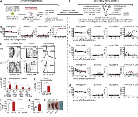 Figure 1 From Myeloproliferative Neoplasms Can Be Initiated From A