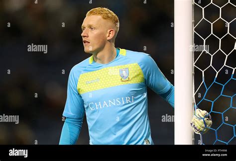 Sheffield Wednesday goalkeeper Cameron Dawson Stock Photo - Alamy