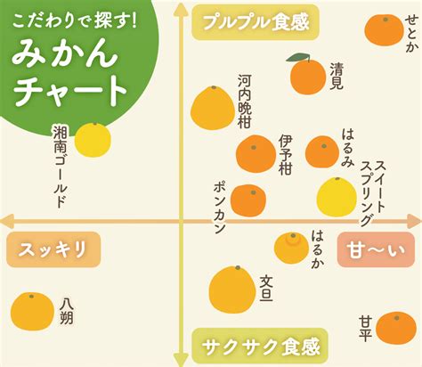 味の好みで探す！みかん品種まとめ｜食べチョク｜産地直送産直お取り寄せ通販 農家・漁師から旬の食材を直送