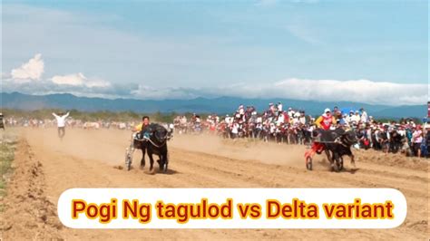 Eto Ang Inaabangan Ninyo Laban Pogi Ng Tagulod Vs Delta Variant