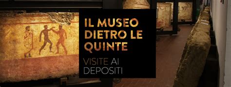 Il Museo Di Paestum Apre I Depositi Tutti I Giorni Per La Prima Volta