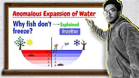 Anomalous Expansion Of Water Explained In Nepali YouTube