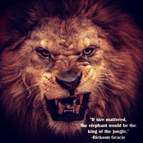 Leo The Lion Pride Quotes. QuotesGram