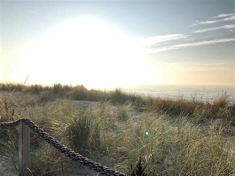 Sylt Sand Dunes North Sea Free Photo On Pixabay Pixabay