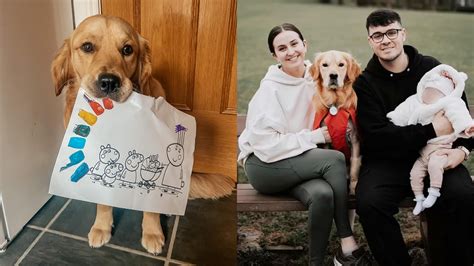 Pareja Crea Lista De Deseos Para Cumplir Con Su Perrito Que Est