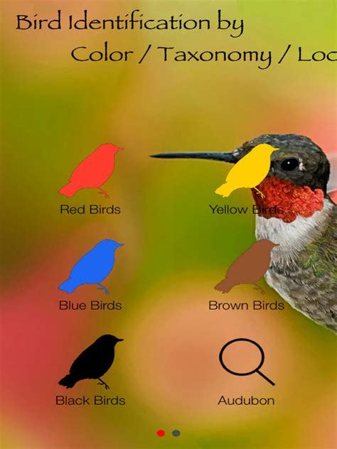 Bird Identification by Color - Ornithology Guide for Northeastern U.S ...