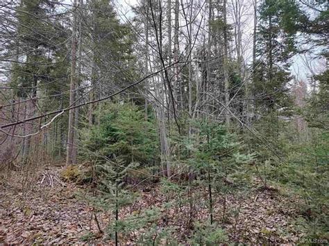 100 7 Acres Of Recreational Land For Sale In Pelkie Michigan Landsearch