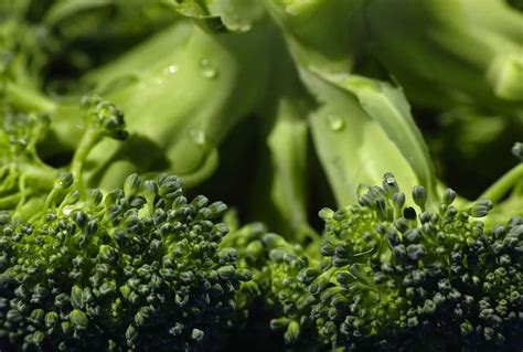 Wie Lange Muss Brokkoli Kochen 3 Methoden Brokkoli Zuzubereiten