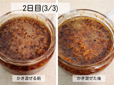 ブログで発酵教室醤油麹を作ってみよう 麹の仲間たち