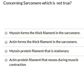 SOLVED: Concerning Sarcomere which is not true? Myosin forms the thick ...