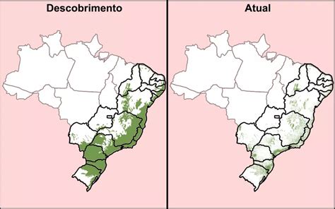 Dia Da Mata Atl Ntica Comemorado Hoje Em Todo Territ Rio Nacional