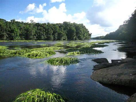 SA: The Road To Georgetown, Guyana