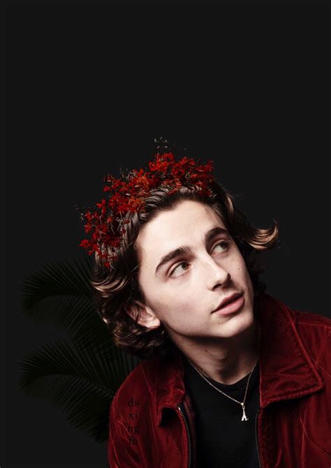 Aesthetic Timothee Chalamet Wallpapers - Wallpaper Cave