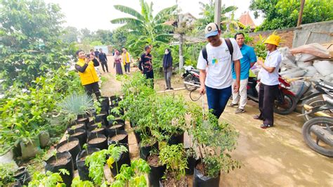 Minim Anak Muda Jadi Petani Di Kota Lumbung Padi Radar Karawang