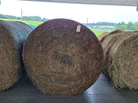 Round Bales St Orchard Grass Timothy Mix X Rogers Community