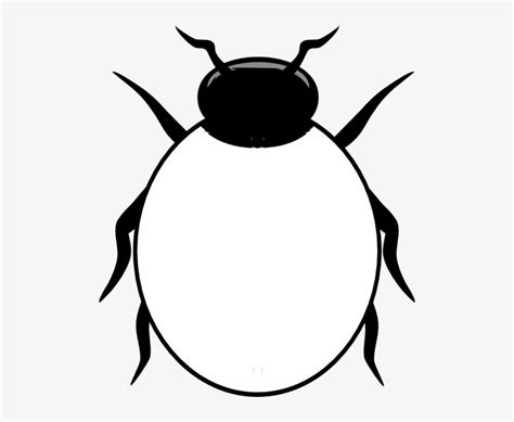 Ladybug Clip Art Black And White Drawing Of A Bug Transparent Png | The ...