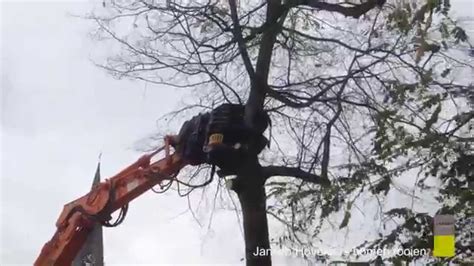 Bomen Kappen Jansen Hoveniers YouTube