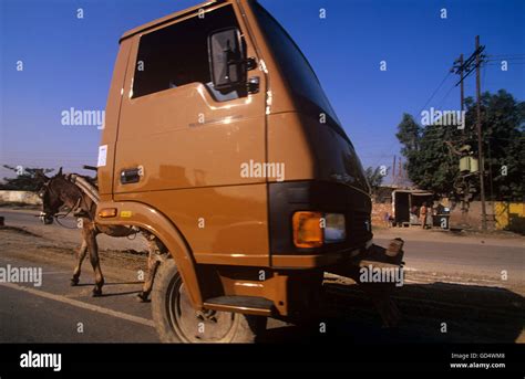 Esel Gezogen Fotos Und Bildmaterial In Hoher Aufl Sung Alamy