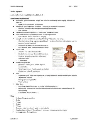 Module 1 HC Anatomie Fysiologie Tractus Genitalis Anatomie