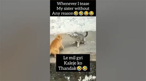 Ab Se I Will Not Tease My Sister 😂😂🤣🤣😂 Shorts Shortsfeed Viral Youtube