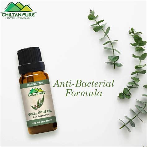 Eucalyptus Essential Oil – Anti-Bacterial Formula & Treats Acne 20ml#N ...