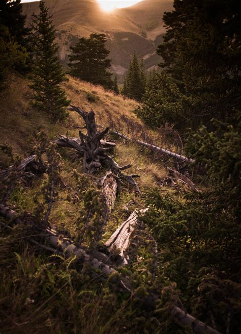 Elevation of Grand Lodge on Peak 7, Ski Hill Rd, Breckenridge, CO, USA