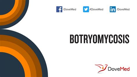 Botryomycosis