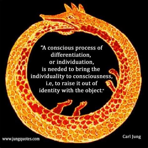 A Conscious Process Of Differentiation Or Individuation Carl Jung Psychology Carl Jung Quotes