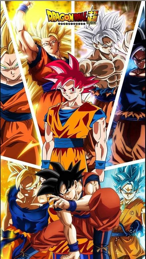 Goku All Forms Posted By Michelle Tremblay Goku Forms HD Phone