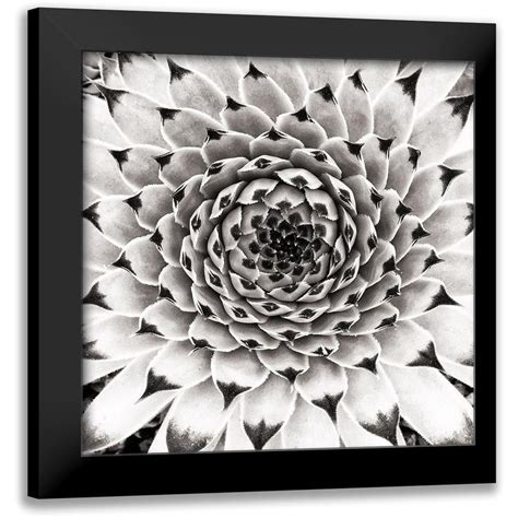 Pandya Hardik 15x15 Black Modern Framed Museum Art Print Titled Untitled