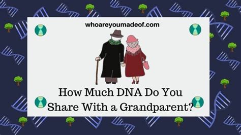 How Much Dna Do You Share With A Grandparent Who Are You Made Of