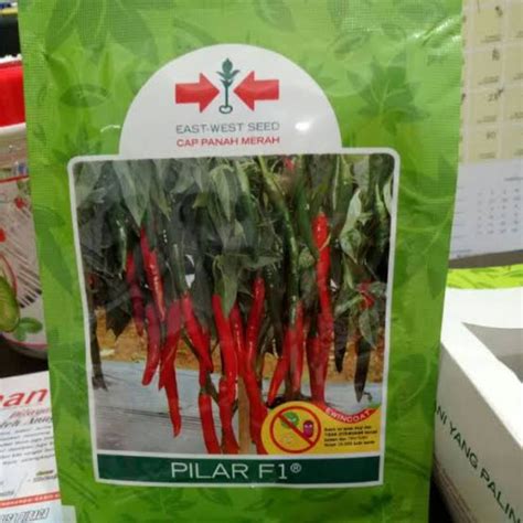 Jual BENIH CABE BESAR PILAR F1 10 GRAM 1500 BUTIR Shopee Indonesia