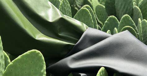 Desserto Vegan Leather Made Of Cactus Innovati N Momocca