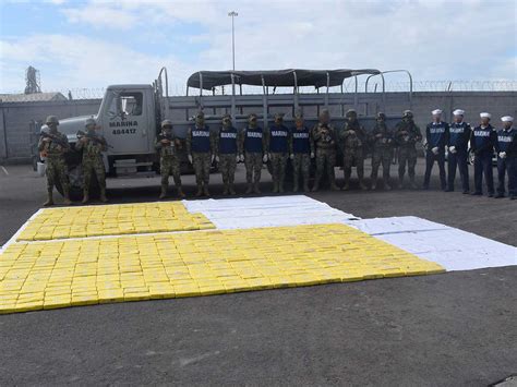 Decomisan más de 600 kilos de cocaína en Sinaloa NTCD Noticias