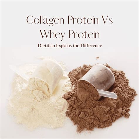 Collagen An Structural Protein Vs Whey A Complete Protein