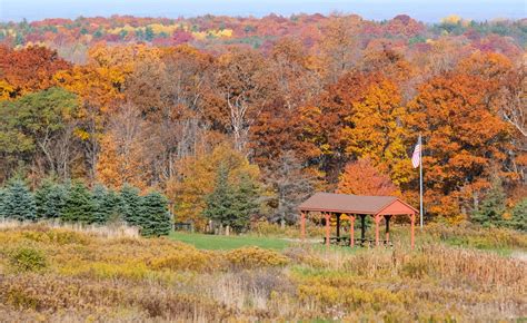 Fall Foliage – Bristol Hills – John Bustard's Photo Stories