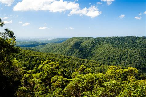 guide   gold coast hinterland jamiechancetravels