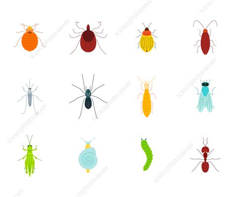 Pests Conceptual Illustration Stock Image F Science