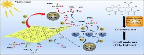 新型 0d 1d 2d 纳米结构 Mcnncds 可回收复合材料，用于在可见光下促进过氧单硫酸盐活化，从而降解四环素separation