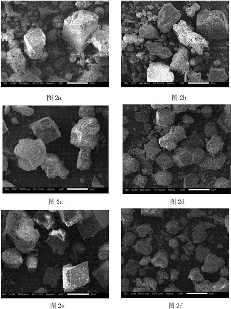 利用两种微生物共同矿化制备碳酸钙的方法与流程