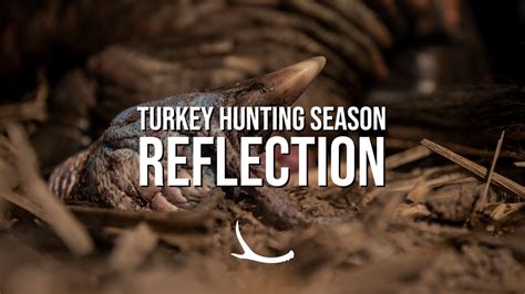 Lessens learned from turkey hunting season – The Okayest Hunter