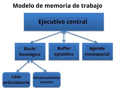 Memoria de trabajo qué es características cómo funciona ejemplos