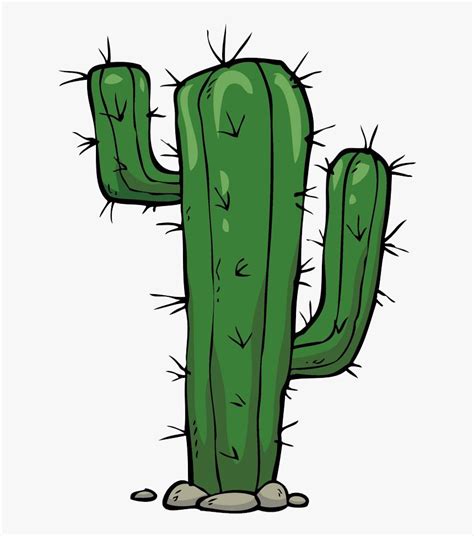 Funny Cactus Png Clipart Background, Transparent Png - kindpng