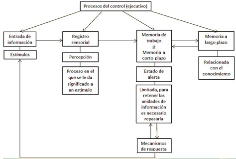 MAPA CONCEPTUAL DE TEORÍAS DEL PROCESAMIENTO DE LA INFORMACIÓN Flowchart