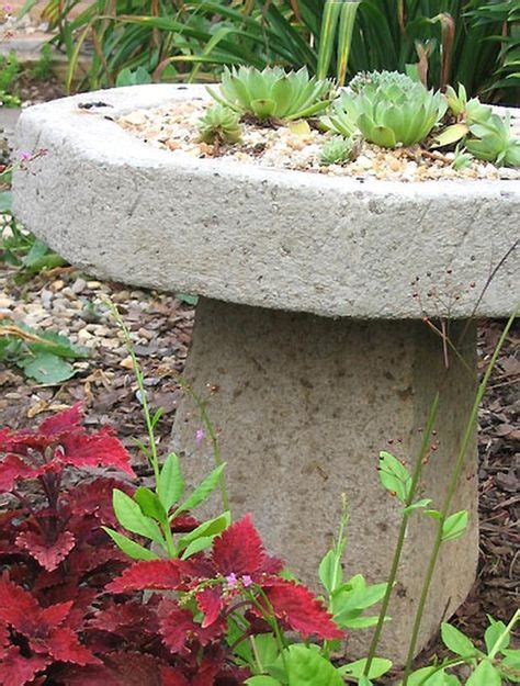 38 The Hypertufa Gardener Ideas Plants Hypertufa Succulents