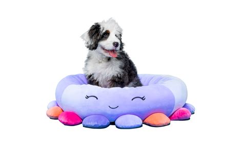 Squishmallows Pet Bed Beula The Octopus Givepethealthy