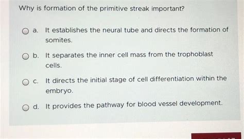 Solved Why is formation of the primitive streak important? | Chegg.com