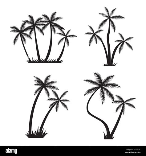 Vector Set Of Tropical Palm Trees Silhouettes Illustration Isolated On