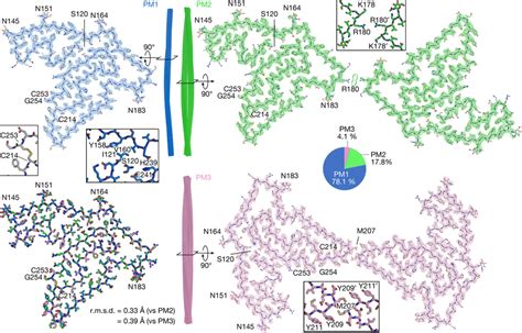 Cryo Em Structures Of Tmem106b Fibrils From Ftld Tdp Donor 1 Cryo Em